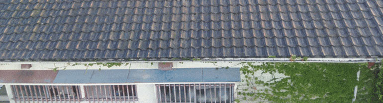 お客様の声事例6